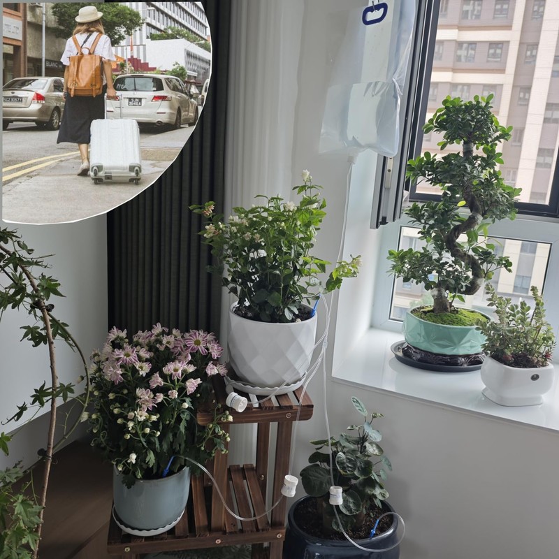 Luimode Automatic Watering System, Plants, Automatic Water Supply, Water Supply