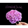 Unbranded HYDRANGEA FLOWER WATERPROOF VINYL STICKERS/DECAL