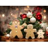 JOKUMO Gingerbread Men Set of 3 Cookie Cutter Set 4”