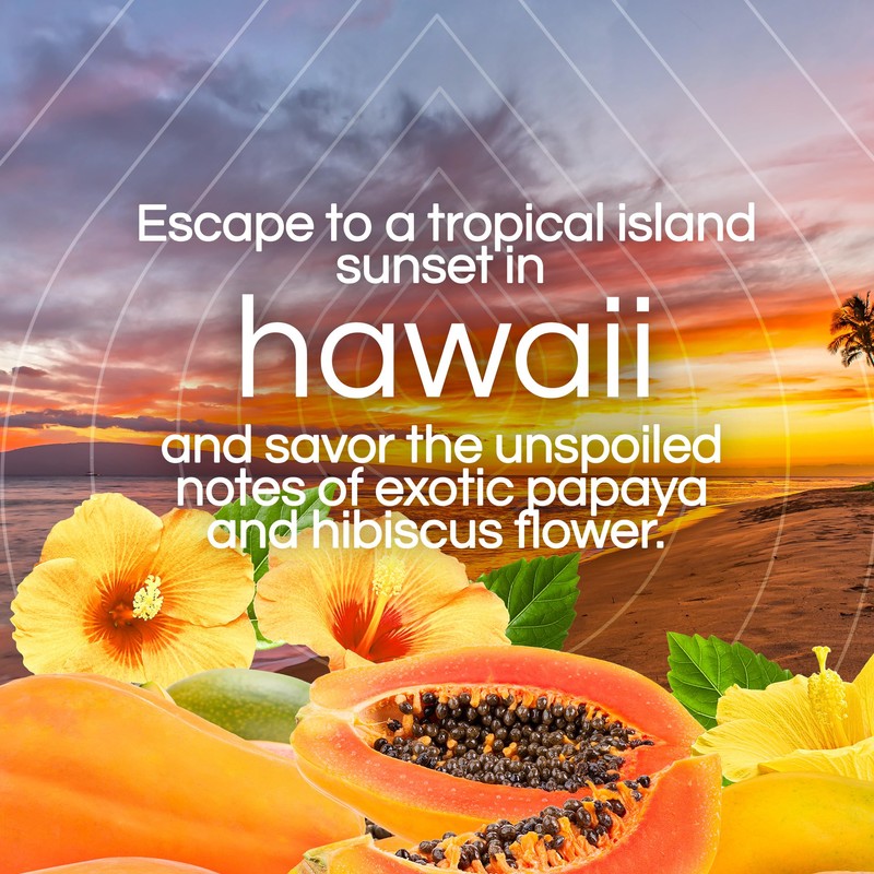 Air Wick Plug in Scented Oil Refill, 2ct, Hawaii, Essential