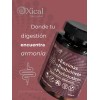 Xical Vida Y Salud, 4 Enzimas Digestivas Y 4 Probióticos