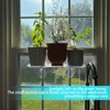 12-Inch Window Boxes Sill Planter Suction Cup Holder, 5-Inch Extra