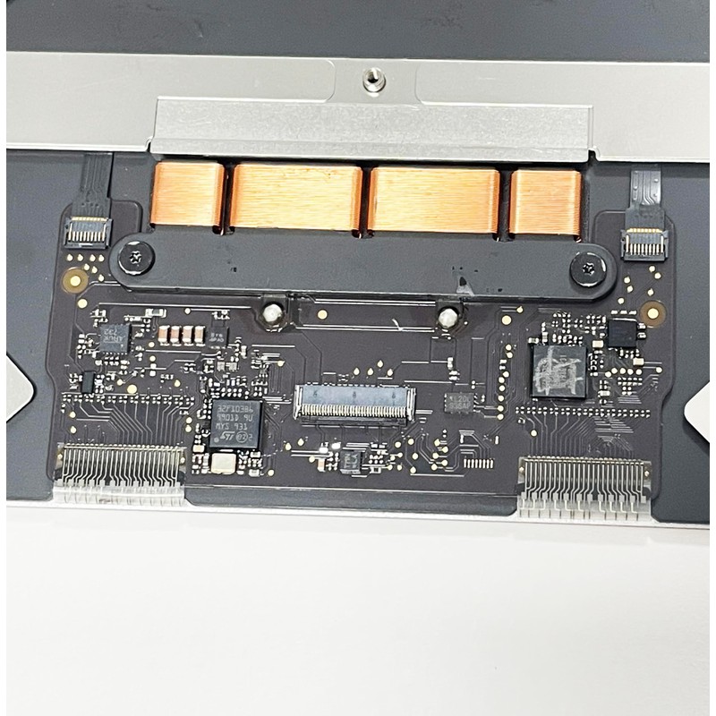 Fleshy Leaf Touchpad Clickpad Trackpad Without Flex Cable Replacement for