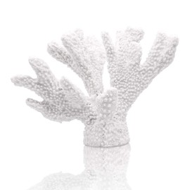 ALIWINER White Coral Statue Resin Coral Tabletop Decoration Realistic Faux Branch Coral Sculpture Home Decoration Beach Theme Party Wedding Decor Window Display 5.9''