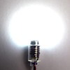 GutReise AC/DC E10 Bulbs, Pack of 10, 6 V, Cool