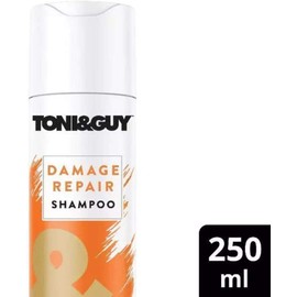 Toni & Guy Shampoo for Damaged Hair, 8.5 oz