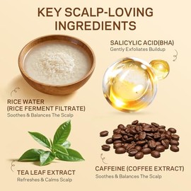 AMOADO Exfoliante de cuero cabelludo con agua de arroz con ácido salicílico (BHA), árbol de té y romero - Champú exfoliante suave para el cuero cabell