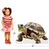 Turtle - Life Size Cardboard Cutout Standup People with Support