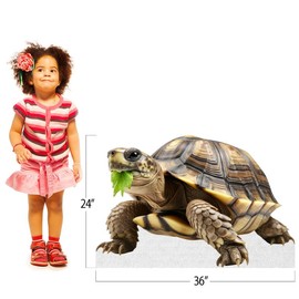 Turtle - Life Size Cardboard Cutout Standup People with Support Standee | Animals -