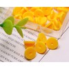 Shapenty 30PCS Butterfly Clutch PVC Rubber Pin Backs Keepers Replacement