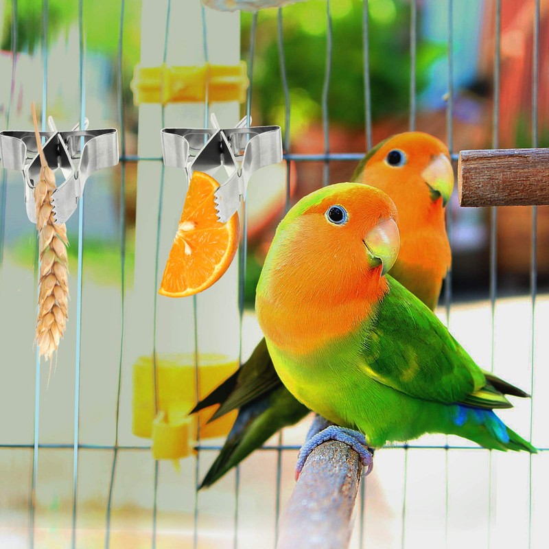 Parrots Fruit Vegetable Feeder Clip 5 Pieces Bird Feeder Device
