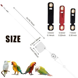 Retractable Bird Leash, 6.56ft Bird Harness with 3 Sizes of Foot Rings Parakeet Flying Ankle Harness Parrot Leg Leash Outdoor Flying Training Supplies Kit for Cockatiels Budgies (White)