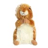 Aurora® Adorable Mini Flopsie™ Nutsie™ Stuffed Animal - Playful Ease
