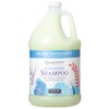 Ginger Lily Farms Botanicals Island Tranquility Moisturizing Shampoo, 100% Vegan,