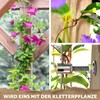 GARDELI® Stainless Steel Trellis for Climbing Plants, Professional System as