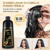 Bobo Shampoo Con Tinte Cubre Canas Natural Jengibre