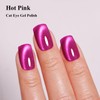 Imtiti Cat Eye Gel Nail Polish, Hot Pink Holographic Magnetic