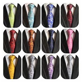 WeiShang Classic Men's Silk Tie Necktie Woven JACQUARD Neck Ties