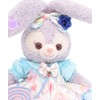 Teddy Bear Mail Order Alice Stellaroo Clothes Changing Costume with