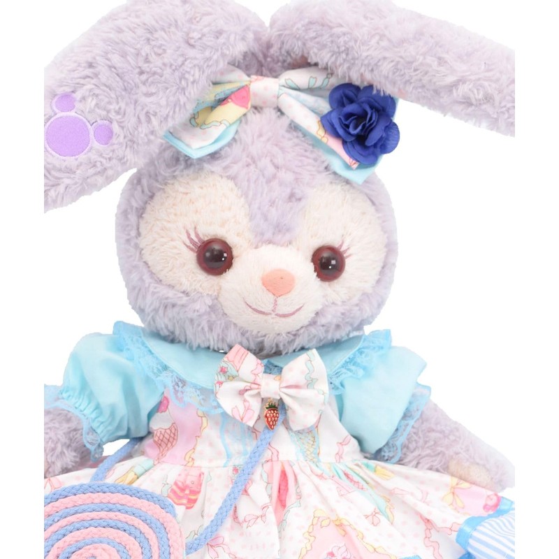 Teddy Bear Mail Order Alice Stellaroo Clothes Changing Costume with
