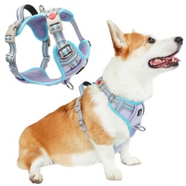 BELLA & PAL Dog Harness for Medium Dogs No Pull, No Choke Front Clip Pet Vest with Easy Control Soft Padded Handle, Adjustable Heavy Duty Reflective Dog Body Harness for Medium (Lavender, M)