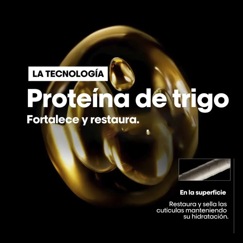 Shampoo L'Oréal Pro Absolut Repair Cabello Muy Dañado 300 ml
