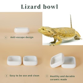 Reptile Food Bowls Ceramic Square Reptile Water Food Dish, Pet Food Bowl for Lizards, Young Bearded Dragons, Small Snakes, Gecko Tortoise Spider (White, Large-2Pack)