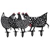 5Pcs Chicken Stakes Set Acrylic Animal Shape Statues Decoration for