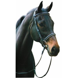 Henri De Rivel Dressage Bridle Cob Blk/Wht