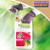 Bonide Captain Jack's Thuricide BT, 128 oz Ready-to-Use with Sprayer,