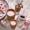 NEST New York Himalayan Salt & Rosewater Scented Classic Candle,