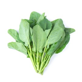 Chinese Broccoli Seeds - Ryokuho - Hybrid - 2 g Packet ~175 Seeds - Non-GMO, F1 Hybrid - Asian Garden Vegetable