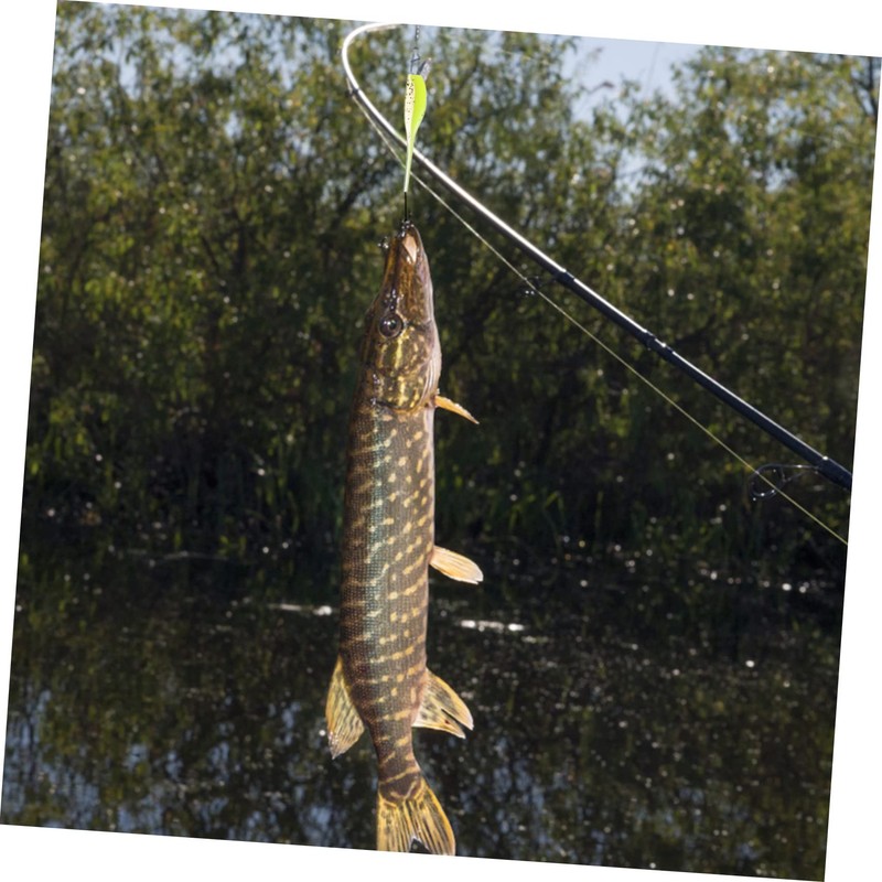 BIUDECO Complete Bass Fishing Gear Set with Bait for Bass