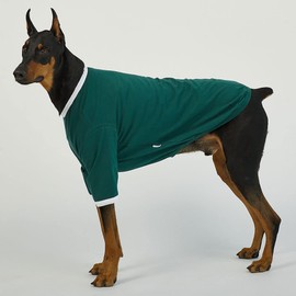 Lucky Petter Ringer Dog Shirt for Small and Large Dogs Cotton T-Shirts Soft Breathable Dog Shirts pet Clothes (X-Large, Green/White)