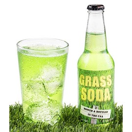 Grass Soda Pop, Weird and Surprising Soda