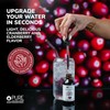Pure Inventions - Antioxidant Fruit Extract Formulations Water Enhancers (60