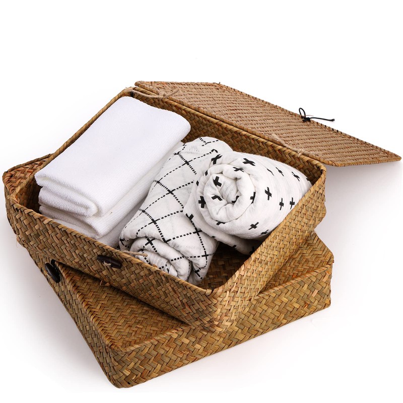 Elsjoy 2 Pack Seagrass Baskets with Lid, Wicker Storage Baskets