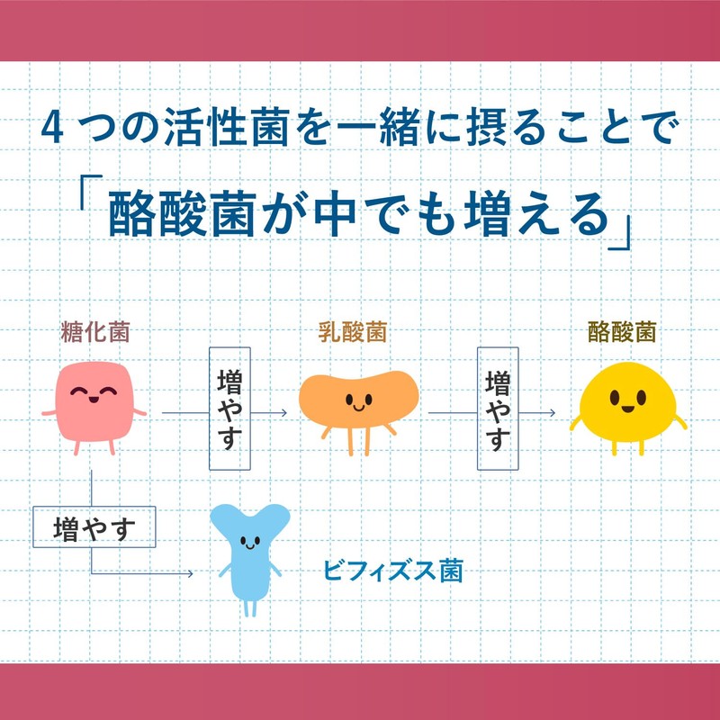 酪酸菌 サプリ 腸活 乳酸菌 30億個の酪酸菌とサポート成分（糖化菌ｘオリゴ糖7種ｘ19種の善玉菌を配合）菌トレ習慣30錠入り