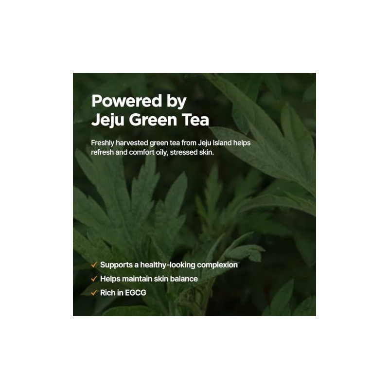ISNTREE Suero Facial Green Tea Fresh Serum - Coreano con