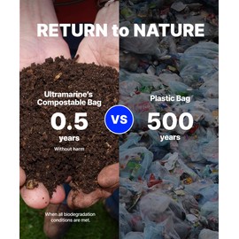 Eco Friendly Clear Poly Bags with Suffocation Warning - 10" x 13" (100 Count) - Strong Self Seal - Biodegradable Premium Frosted Bag for Packaging