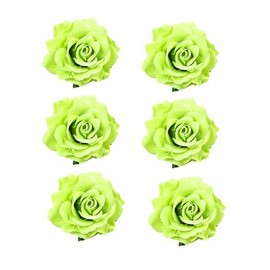 Lofruiin Women's 6Pcs Vintage Elegent Rose Flower Hairpin Hair Clip with Brooch for Party Travel Festivals (Green)