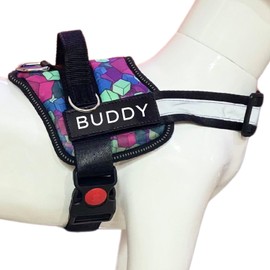 Payton Perry Dog Harness, No-Pull, 3 Leash Clips, No Choke, Reflective, Adjustable and Padded, for Easy Walking and Training for Small, Medium and Large Dogs (Diamond-Blue, XL)