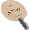 The World Connect (TWC) BV004CH Table Tennis Racket Defense Pen