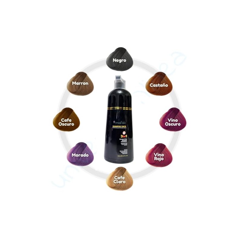1 Champú para Teñir El Cabello 3 en 1 |