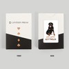 Lantern Press Rottweiler, Life is Better, White Background (52 Playing