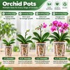 Clear Orchid Pots, 4 inch, 10-Pack