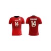Japan National Volleyball Jersey, Ishikawa #14, Sewn Logo Flag Red