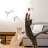 WADY 3PCS Interactive Feather Ball Toy for Cats - Bouncy