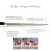 Stainless Steel Sushi Sashimi Knife