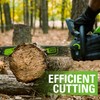 GreenWorks 2904202, Black 18 inches
